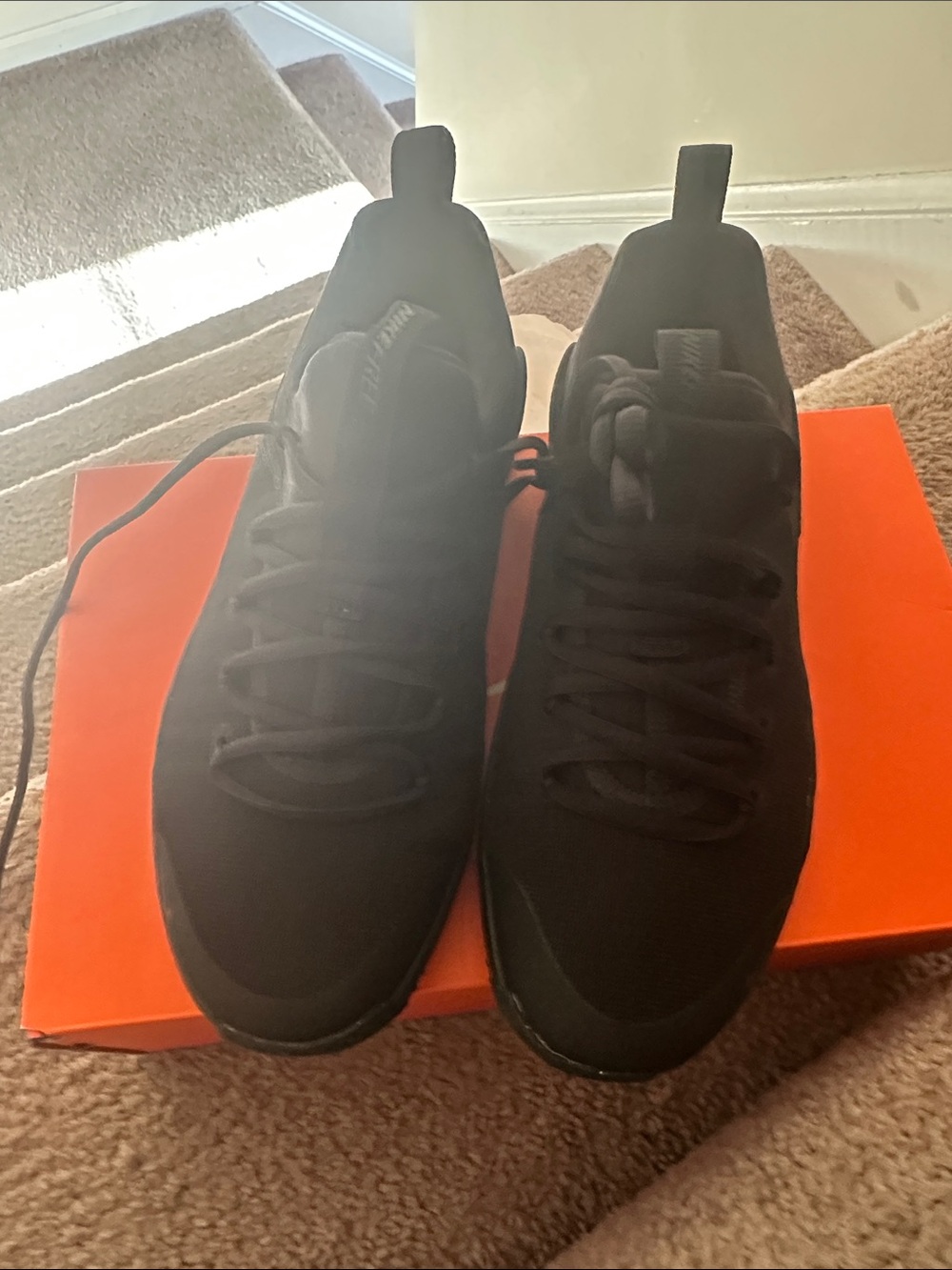 Nike Men’s Black Low-Top Sneakers